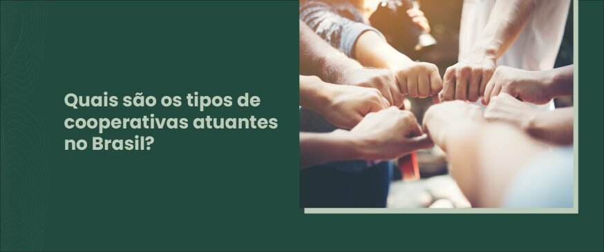 Tipos de cooperativas