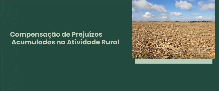 Imagem de milharal secos com texto "Compensação de Prejuízos Acumulados na Atividade Rural".